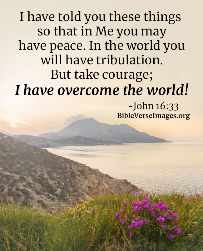 Encouraging Bible Verse - John 16:33