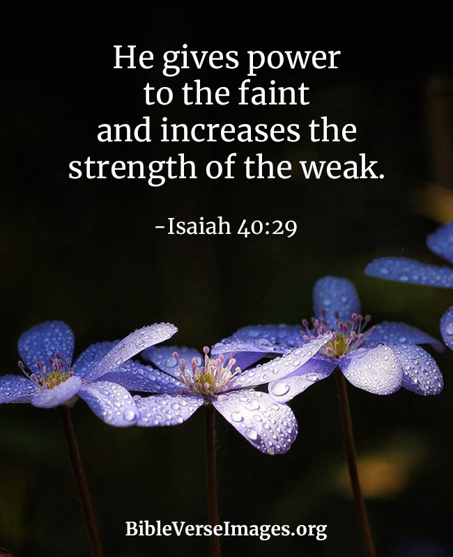 Bible Verse about Love - Isaiah 40:29