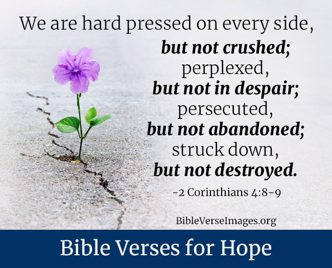 Bible Verse about Hope - 2 Corinthians 4:8-9