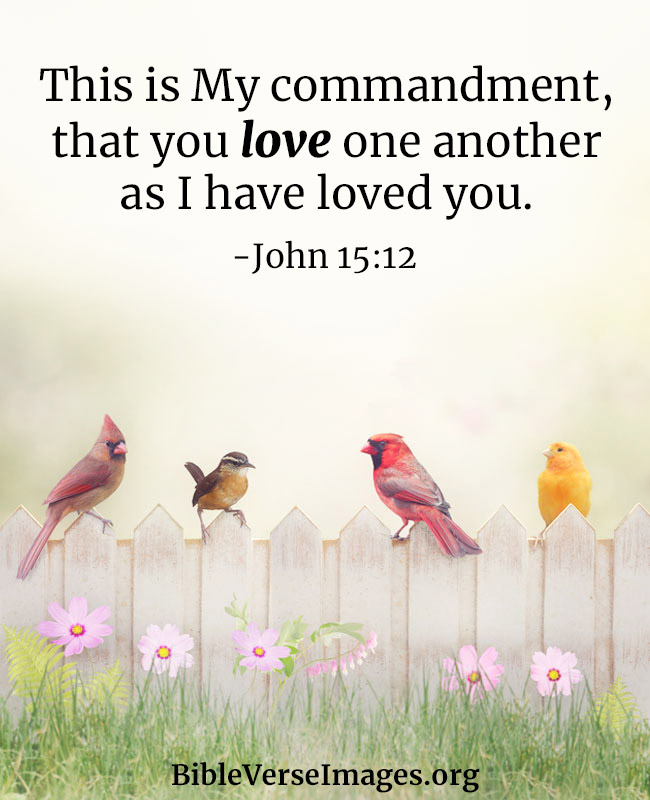 Bible Verse about Love - John 15:12