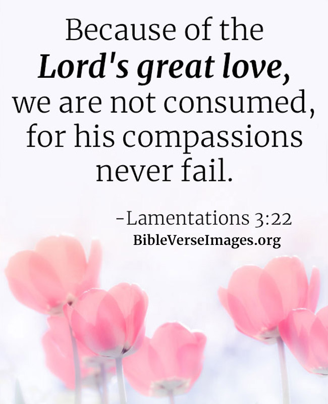 Bible Verse about Love - Lamentations 3:22