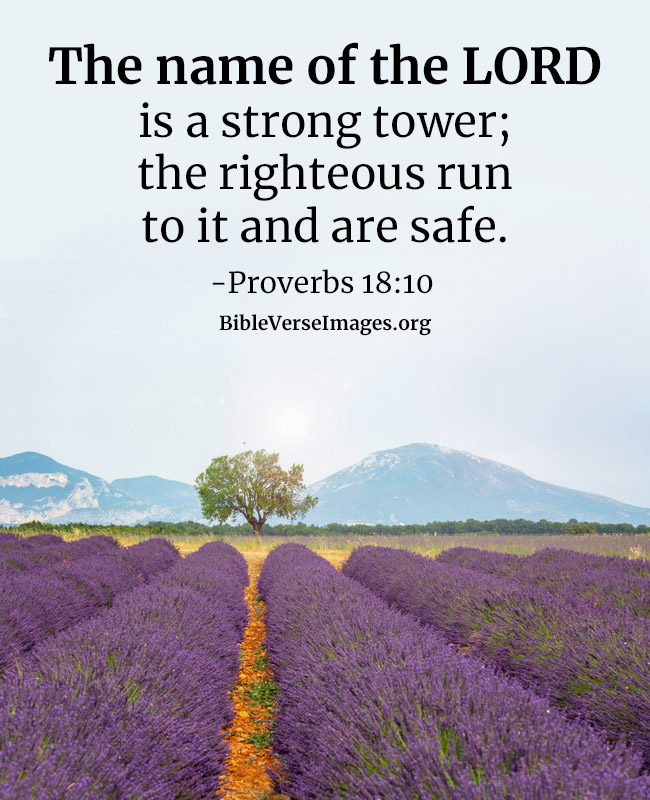 Bible Verse about Protection - Proverbs 18:10