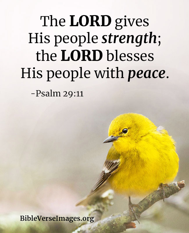 Bible Verse for Strength - Psalm 29:11